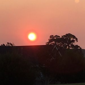 Meet your Posher, Cathy